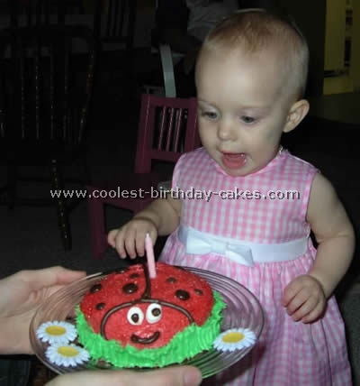 Detail Ladybug Cakes For 1st Birthdays Nomer 33