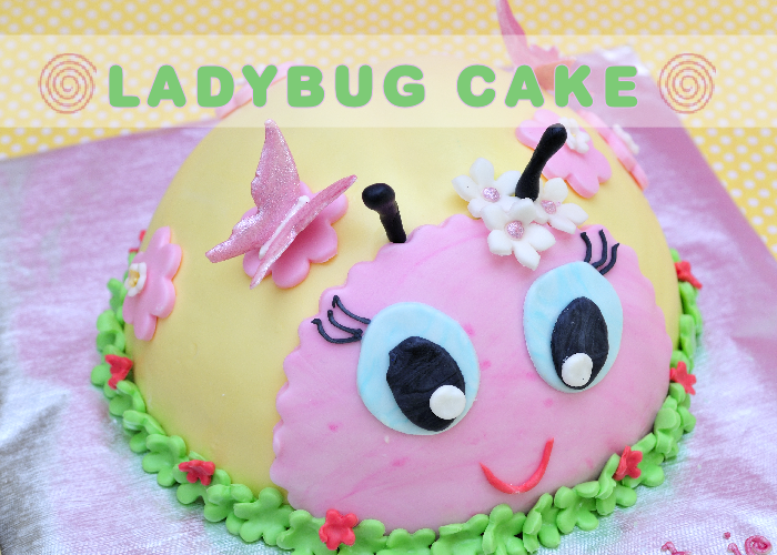 Detail Ladybug Cakes For 1st Birthdays Nomer 35
