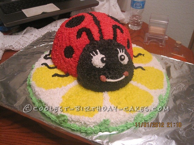 Detail Ladybug Cakes For 1st Birthdays Nomer 46