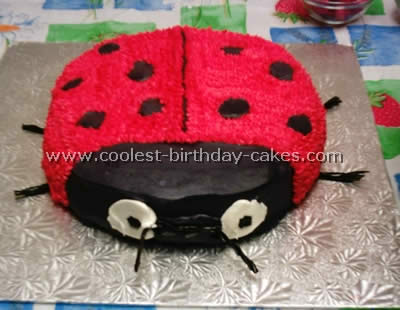 Detail Ladybug Cakes For 1st Birthdays Nomer 49