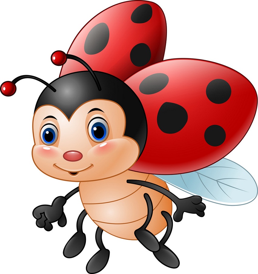 Detail Ladybug Clipart Nomer 12