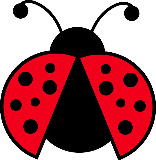 Detail Ladybug Clipart Nomer 16