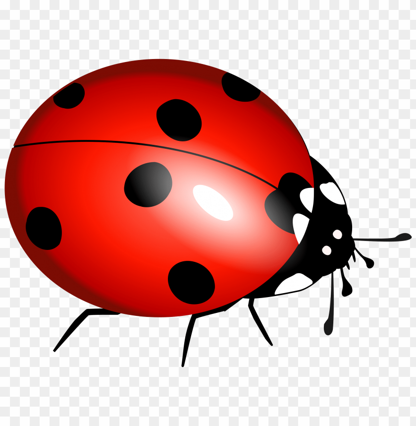 Detail Ladybug Clipart Nomer 44