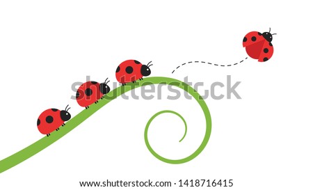 Detail Ladybug Clipart Free Nomer 42