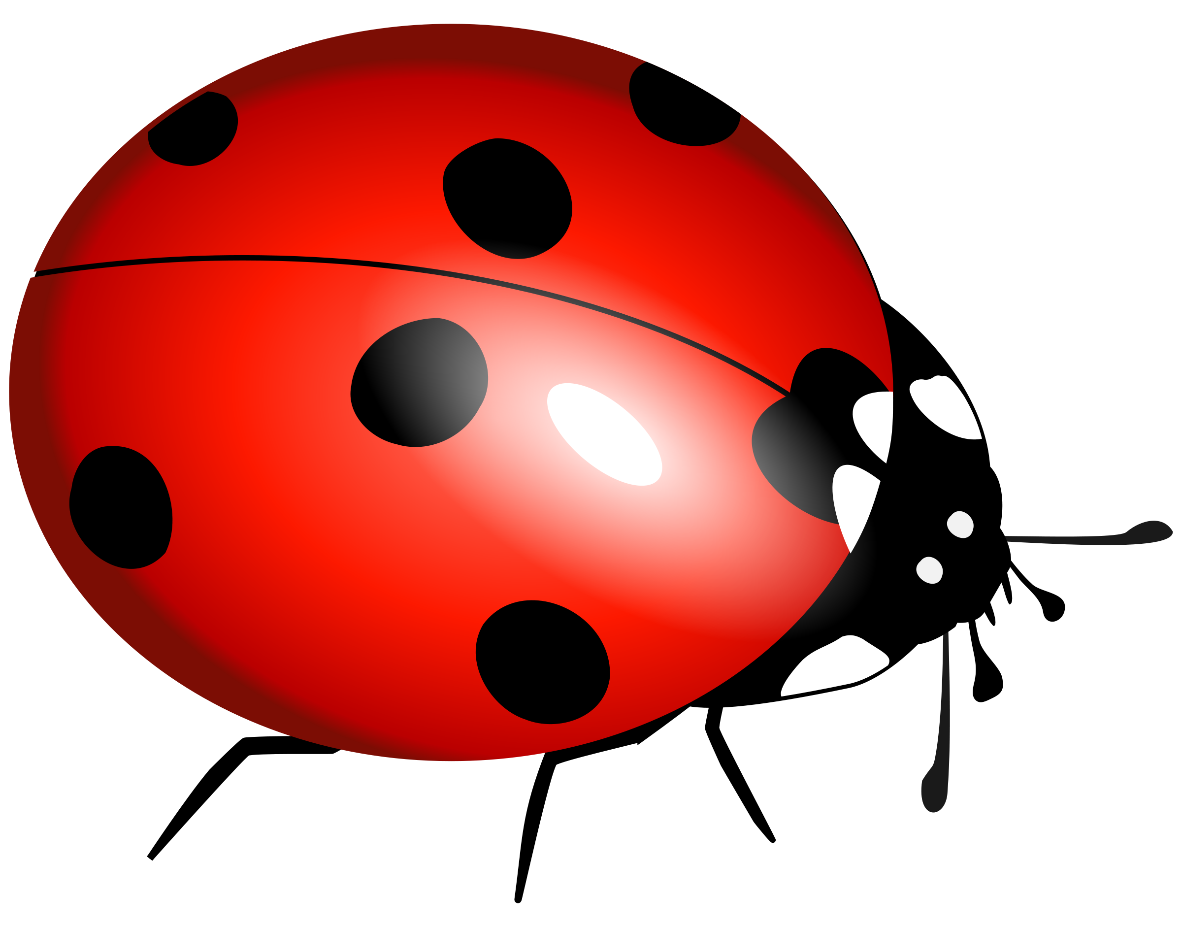 Detail Ladybug Clipart Free Nomer 4