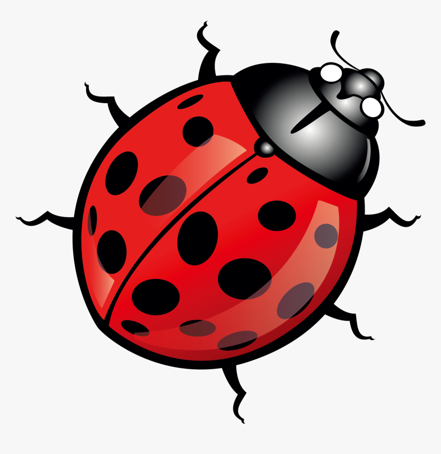 Detail Ladybug Clipart Png Nomer 13