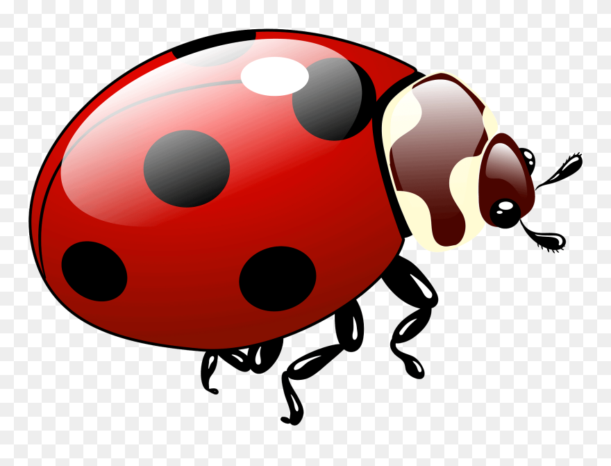 Detail Ladybug Clipart Png Nomer 44