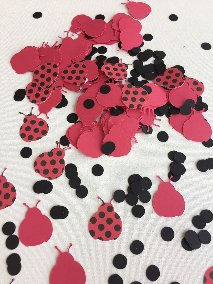 Detail Ladybug Confetti Nomer 17