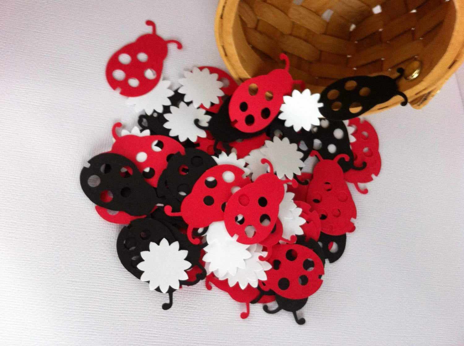 Detail Ladybug Confetti Nomer 20