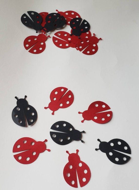 Detail Ladybug Confetti Nomer 44