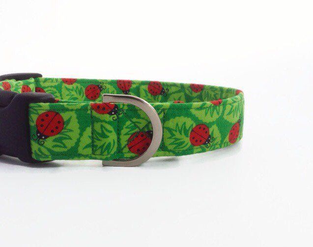 Detail Ladybug Dog Collar Nomer 13