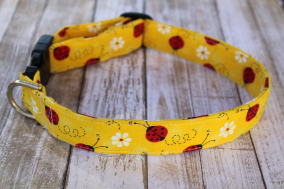 Detail Ladybug Dog Collar Nomer 22