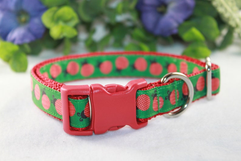 Detail Ladybug Dog Collar Nomer 43