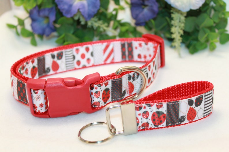 Detail Ladybug Dog Collar Nomer 52