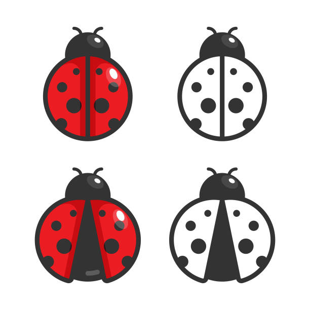 Detail Ladybug Flying Clipart Nomer 35
