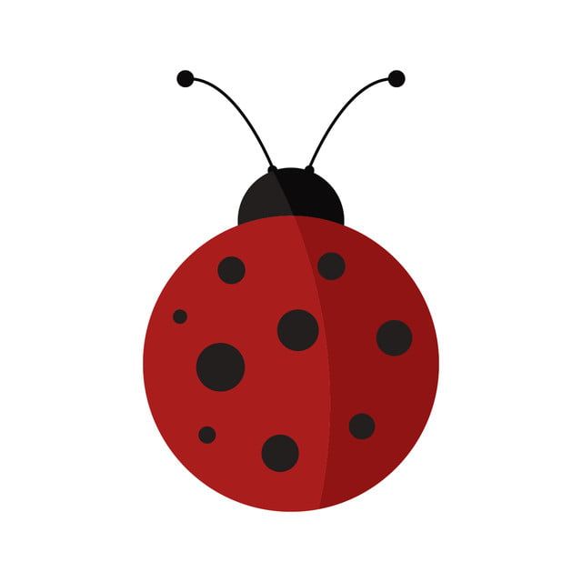 Download Ladybug Flying Clipart Nomer 38