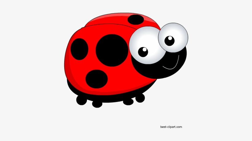 Detail Ladybug Images Clip Art Nomer 29