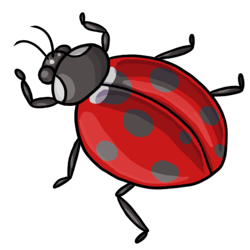 Detail Ladybug Images Clip Art Nomer 56