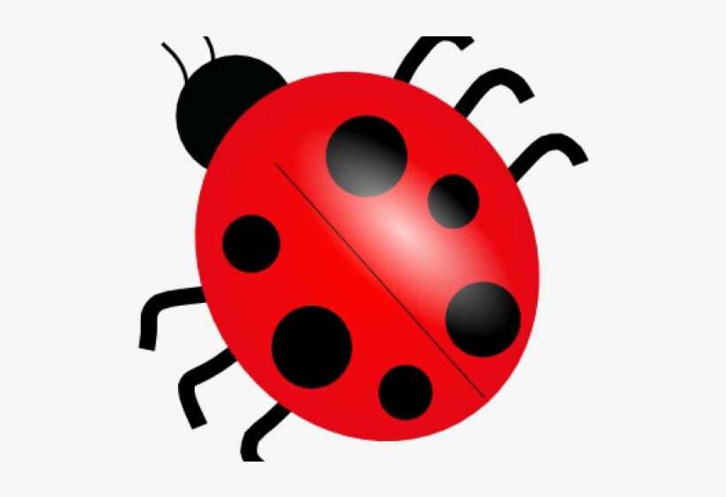 Detail Ladybug Images Clip Art Nomer 5