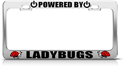 Detail Ladybug License Plate Frames Nomer 19