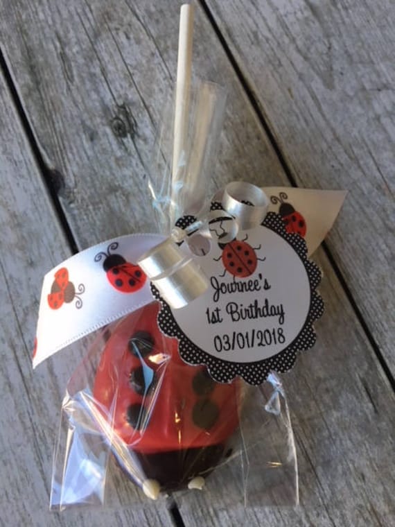 Detail Ladybug Lollipops Nomer 17