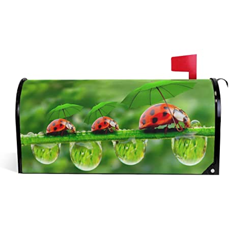 Detail Ladybug Mailbox Nomer 21