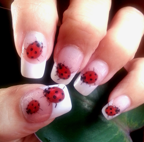 Detail Ladybug Nail Designs Nomer 24