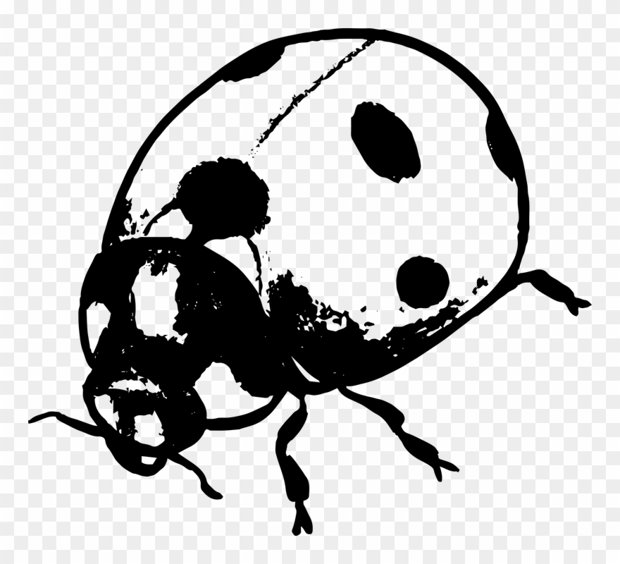 Detail Ladybug Silhouette Nomer 16