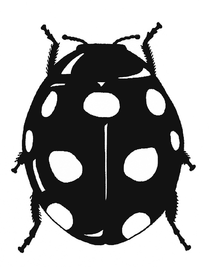 Detail Ladybug Silhouette Nomer 24