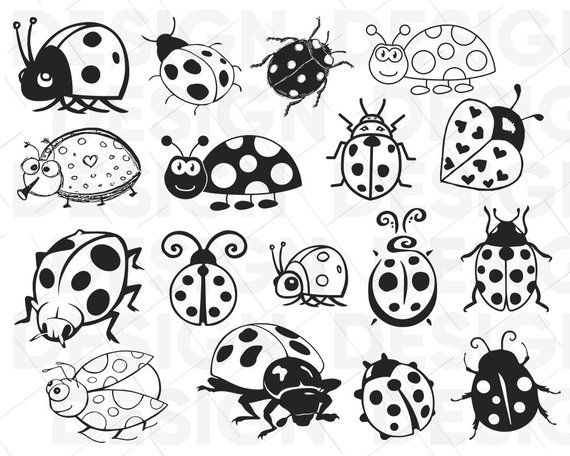 Detail Ladybug Silhouette Nomer 40