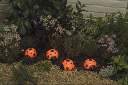 Detail Ladybug Solar Lights Nomer 11