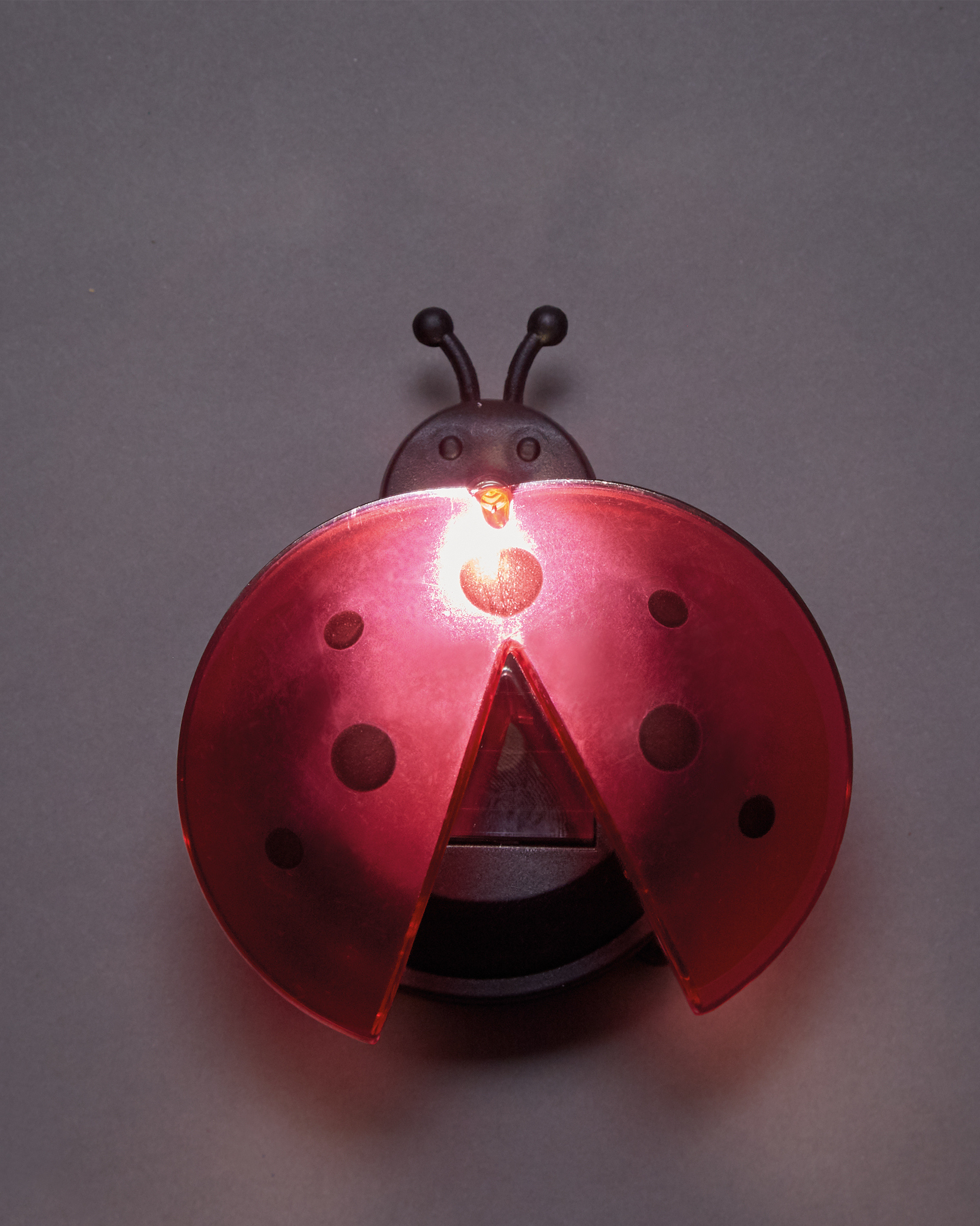 Detail Ladybug Solar Lights Nomer 47