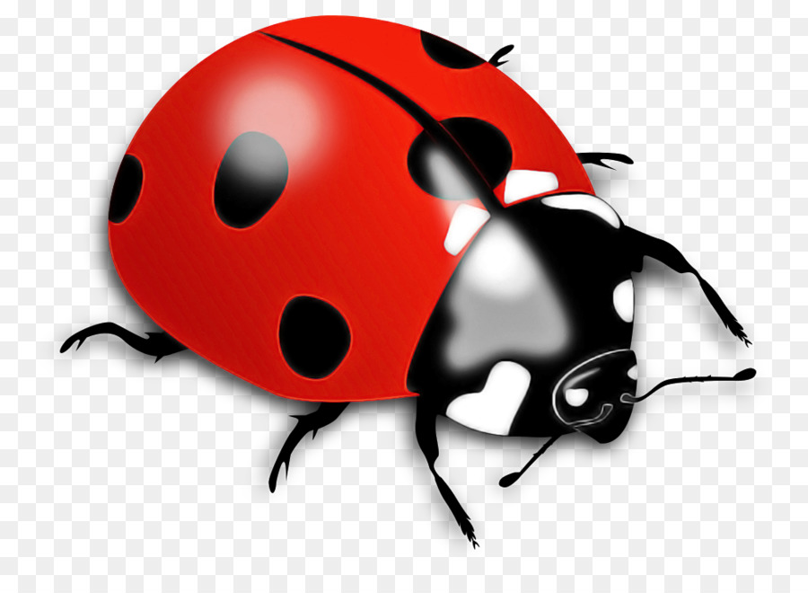 Detail Ladybug Transparent Nomer 16
