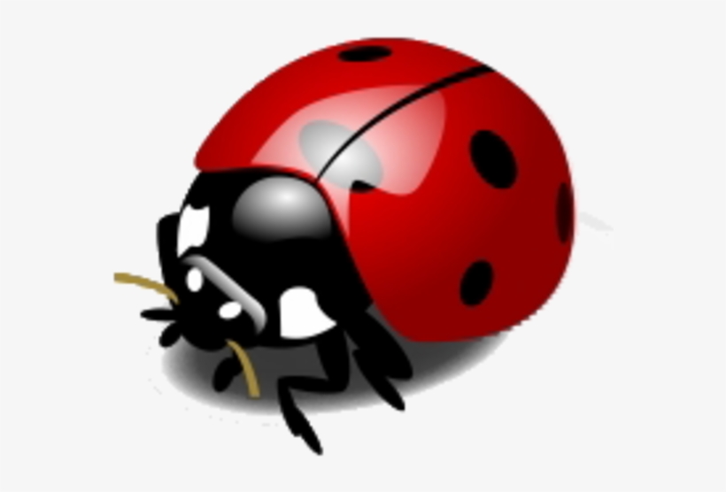 Detail Ladybug Transparent Nomer 18