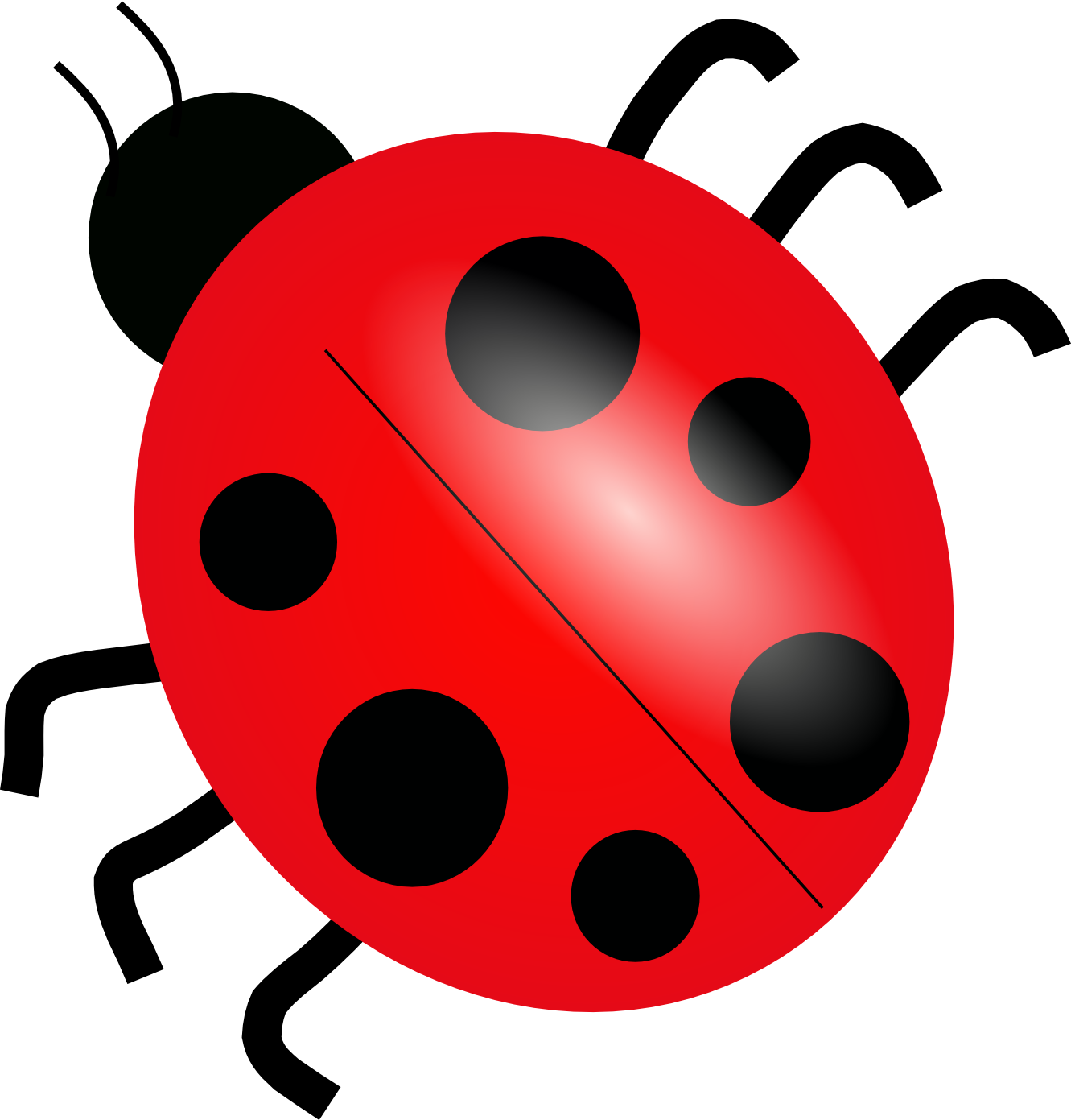 Detail Ladybug Transparent Nomer 19