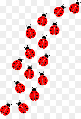 Detail Ladybug Transparent Nomer 25