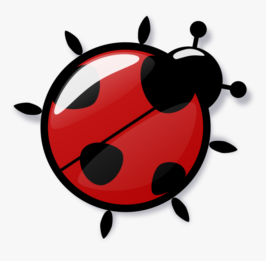 Detail Ladybug Transparent Nomer 27