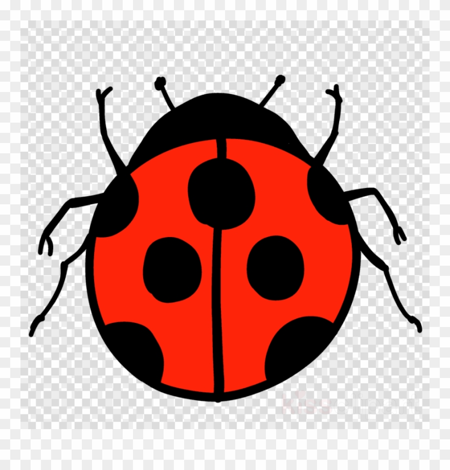 Detail Ladybug Transparent Nomer 31