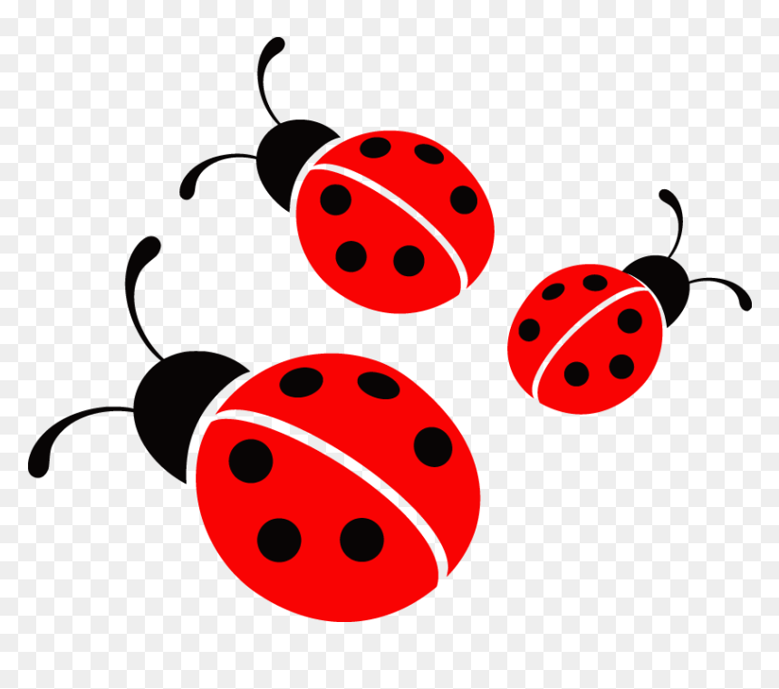 Detail Ladybug Transparent Nomer 35