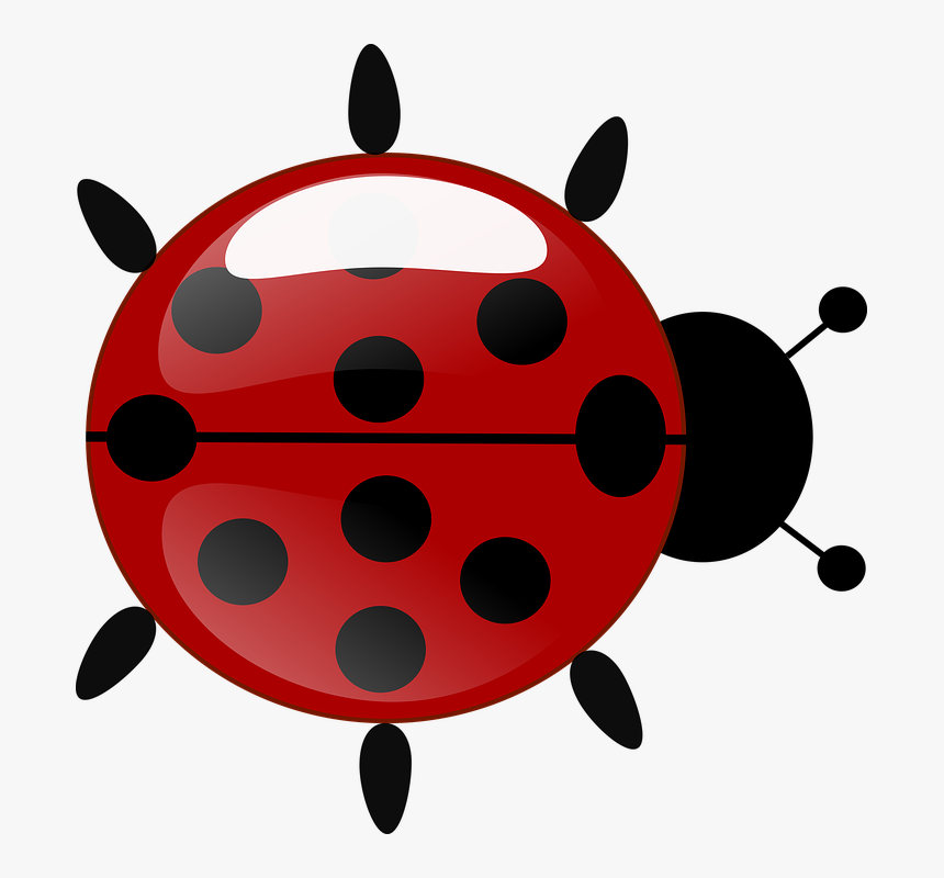 Detail Ladybug Transparent Nomer 36