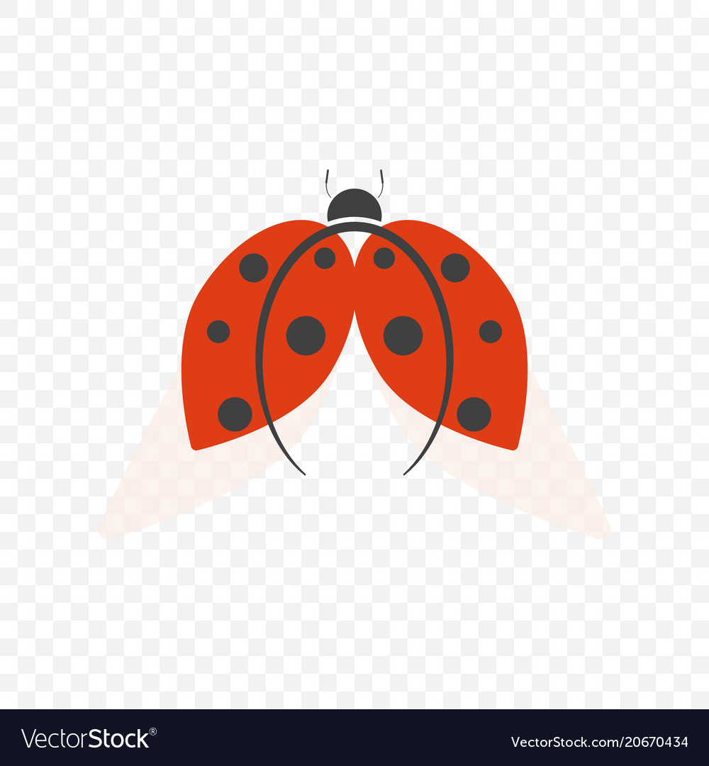 Detail Ladybug Transparent Nomer 40