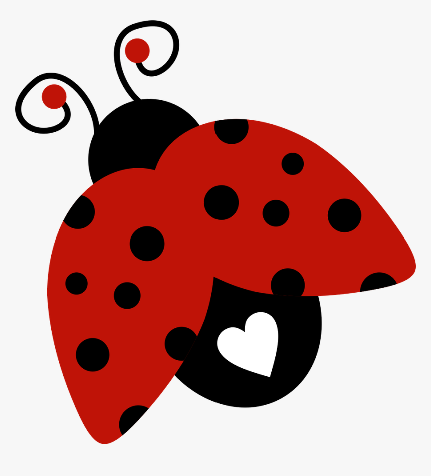 Detail Ladybug Transparent Nomer 43