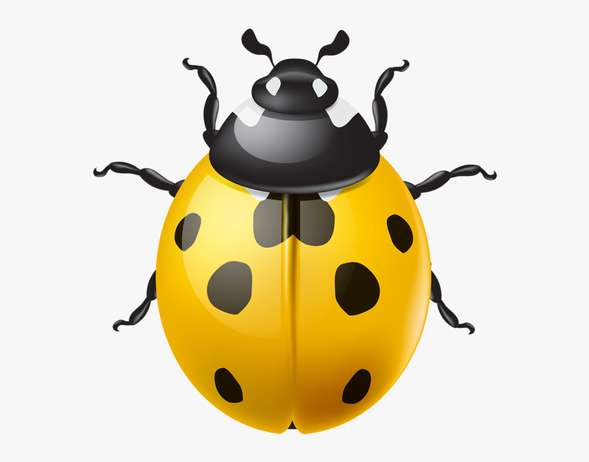 Detail Ladybug Transparent Nomer 45