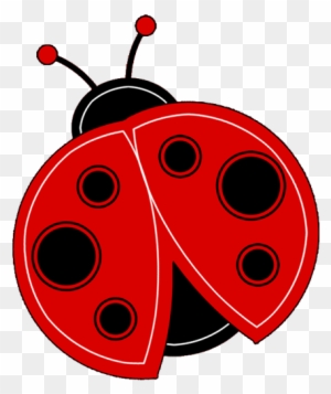 Detail Ladybug Transparent Nomer 53