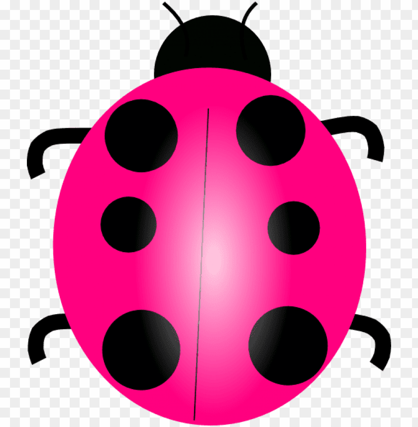 Detail Ladybug Transparent Nomer 54