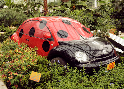 Detail Ladybug Volkswagon Nomer 20