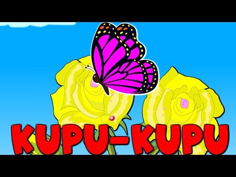 Detail Lagu Anak Kupu Kupu Yang Lucu Mp3 Nomer 5