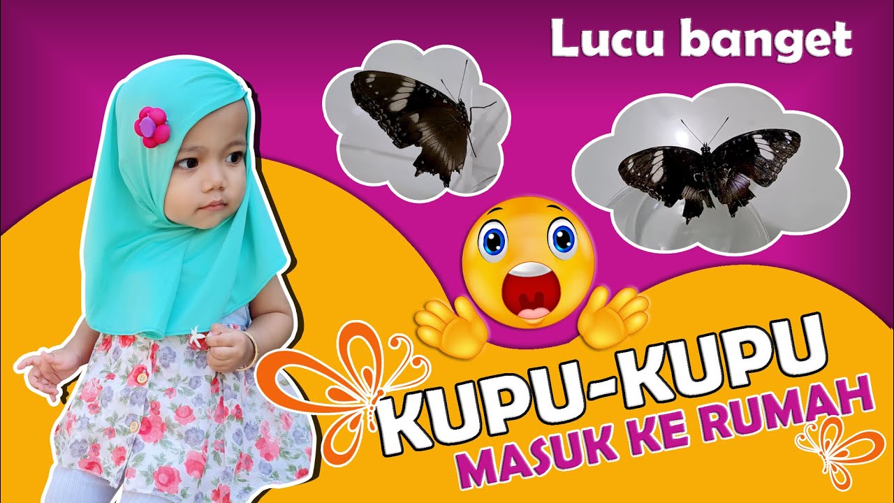 Detail Lagu Kupu Kupu Yang Lucu Mp3 Nomer 36