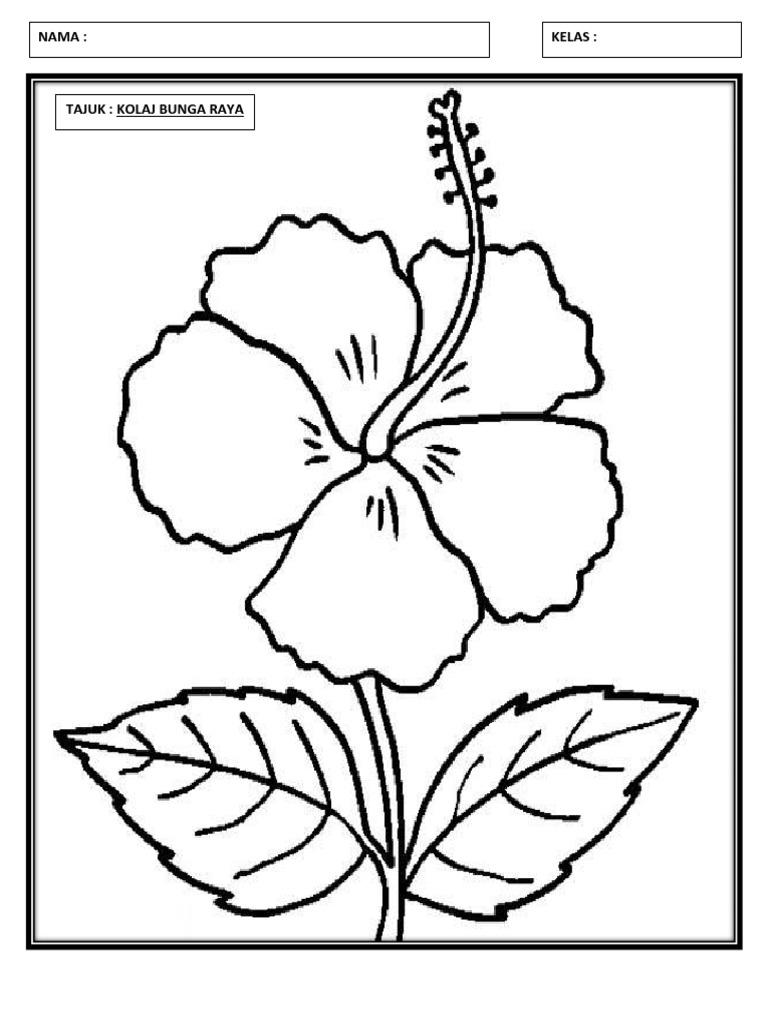 Detail Lakaran Gambar Bunga Raya Nomer 4