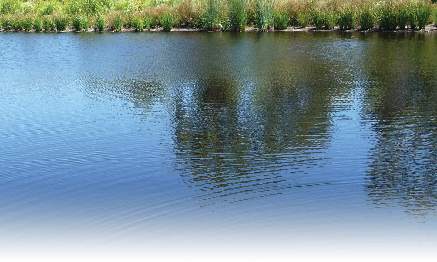 Detail Lake Water Png Nomer 46